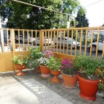 Частный сектор Ульянова 32 в Адлере